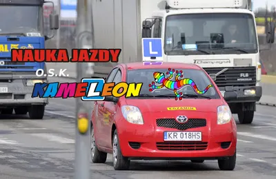 OSK-Kameleon Agnieszka Chwast